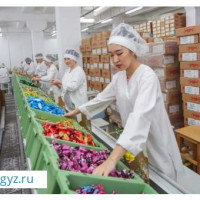 ♦️ОФИЦИАЛЬНЫЙ ЖУМУШ♦️УПАКОВКА КУНУНО ТОЛОНОТ♦️4000-4500₽ КЫЗДАР СЕМЕЙНЫЙ АЛАБЫЗ♦️ВАЦАПТАН ЖАЗГЫЛА