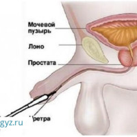 ✅9:00/22:00✅НЕВРОЛОГ✅ХИРУРГ✅УРОЛОГ ✅ ГИНЕКОЛОГ ✅МАММОЛОГ✅ДЕРМАТОЛОГ