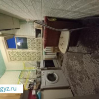 Бир аял кишиге койка места бар