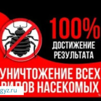ДЕЗИНФЕКЦИЯ   КЛОП  ТАРАКАН  КЕПИЛДИК. БАР  БААСЫ КЕЛИШИМДУУ