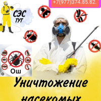 ДЕЗИНФЕКЦИЯ КЫЗМАТЫ КЛОП ТАРАКАН ЖОК КЫЛАБЫЗ.100% ГАРАНТИЯ СТАЖ 7 ЖЫЛ.