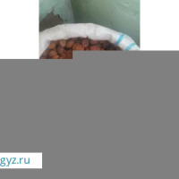 Комната берилет 30000 р 3 адамга