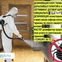 Дезинфекция уничтожение клопов тараканов результат 100