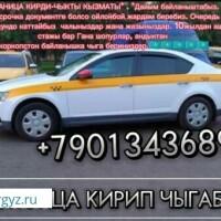 Граница Казахстан кирди чыкты барабыз 89771573068