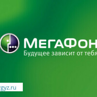 Мегафон 350р айына. 50гб, 700минут, 300смс. Баасы 500р. Доставка бесплатная