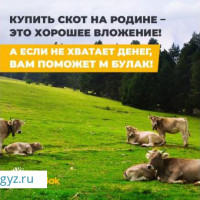 +79060213736 ушул  номерге  байланышыныздар!!