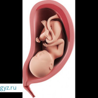 ГИНЕКОЛОГИЯ,УЗИ❤️Введение беременности❤️Лабиопластика❤️Сужение влагалища❤️АБОРТ ❤️УЗИ ❤️Анализы ❤️