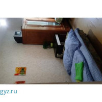 Гостиница 24. Метро Бибирево. В шаговой доступности. Чисто, уютно, недорого.