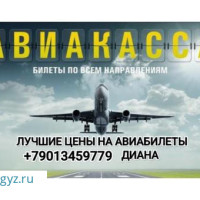 Арзан авиакасса ишеничтуу билеты Авиабилет Авиабилеты