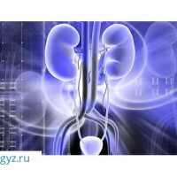 +7977 777 00 62 чалгыла✅24/7♂️✅ ГИНЕКОЛОГ♀️ ✅АНДРОЛОГ❤️ ✅НЕФРОЛОГ❤️✅СЕКСАПАТОЛОГ❤️✅