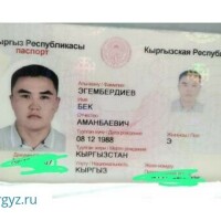 Паспорт жоголду суйунчусу бар