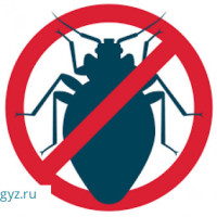 Клоп таракан Дезинсекция Сапаттуу обработка Стаж 6 Жыл