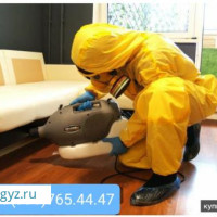 ДЕЗИНФЕКЦИЯ  КЛОП ТАРАКАН ДААРЫЛОО  24/7 ЧАЛЫНЫЗ.БЕЗ ЗАПАХ ДААРЫЛАЙБЫЗ.