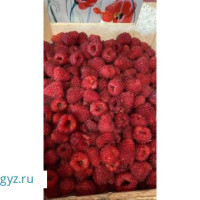 Малина, Клубника, Смородина из Кыргызстана