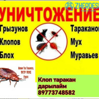 ДЕЗИНФЕКЦИЯ КЫЗМАТЫ КЛОП ТАРАКАН ЖОК КЫЛАБЫЗ.100% ГАРАНТИЯ СТАЖ 7 ЖЫЛ.