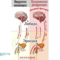 ✅КРУГЛОСУТОЧНО 24/7 ✅УРОЛОГ Терапевт ПУЛЬМОНОЛОГ КАРДИОЛОГ Маммолог Гинеколог ХИРУРГИЯ (все виды)