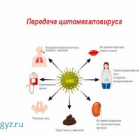 ✅М. Сокол✅Терапевт УРОЛОГ ✅ПУЛЬМАНОЛОГ  СПРАВКИ КАРДИОЛОГ Маммолог,Гинеколог