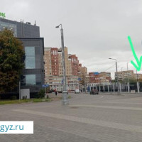 Бир балага орун бар