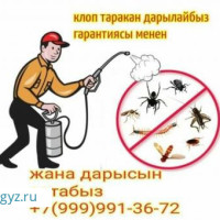КЛОП ХЛОП ТАРАКАН ЖОК КЫЛАБЫЗ ГАРАНТИЯ  ДОГОВОР СЕРТИФИКАТ БАР