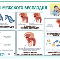 ✅КРУГЛОСУТОЧНО 24/7 ✅УРОЛОГ ♂️✅ ГИНЕКОЛОГ♀️ ✅АНДРОЛОГ ✅НЕФРОЛОГ✅СЕКСАПАТОЛОГ✅