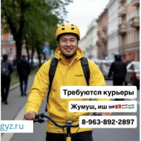 ОПЛАТА КАЖДЫЙ ДЕНЬ / ПЕШИЙ, ВЕЛО, АВТО КУРЬЕРЛЕР / ДО 9100 РУБ.ДЕНЬ / СВОБОДНЫЙ ГРАФИК / ЛЮБОЙ РАЙОН